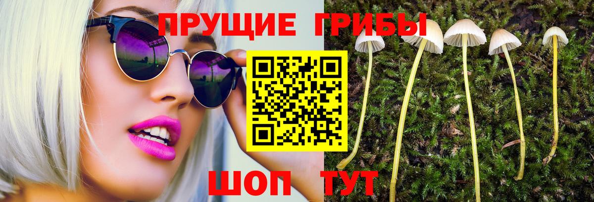 Псилоцибиновые грибы Cubensis Людиново