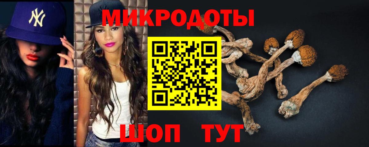 купить наркоту  Галлюциногенные грибы GOLDEN TEACHER  Людиново  Вход с VPN  Галлюциногенные грибы Cubensis 